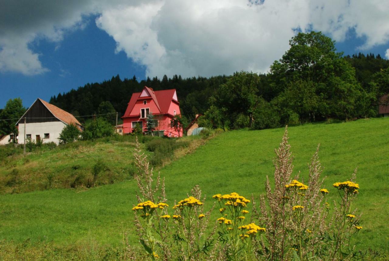 Malinowy Domek Mlynczyska Dış mekan fotoğraf
