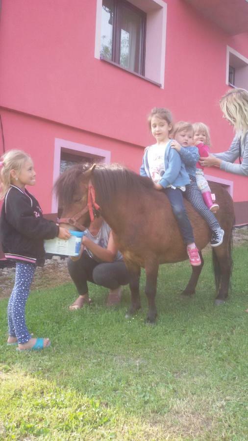 Malinowy Domek Mlynczyska Dış mekan fotoğraf