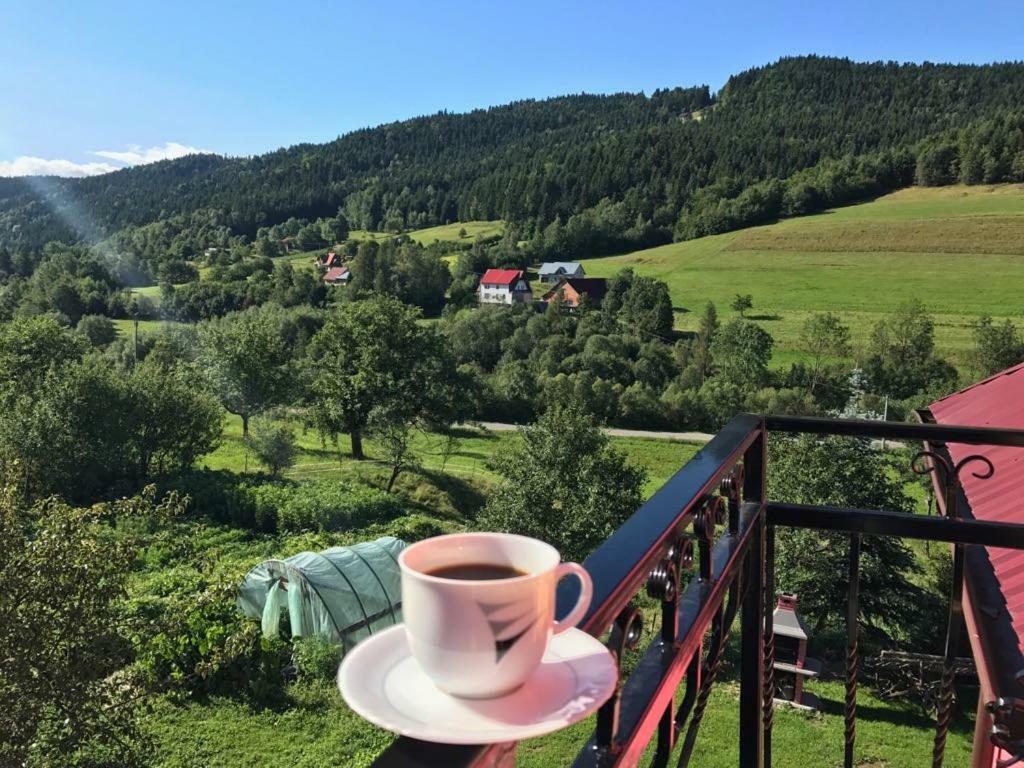 Malinowy Domek Mlynczyska Dış mekan fotoğraf