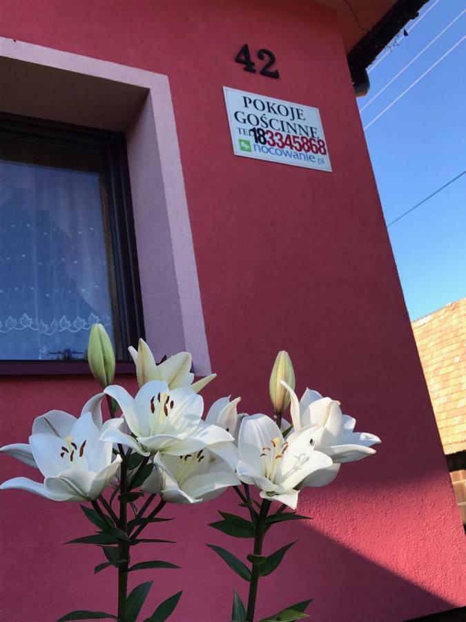 Malinowy Domek Mlynczyska Dış mekan fotoğraf