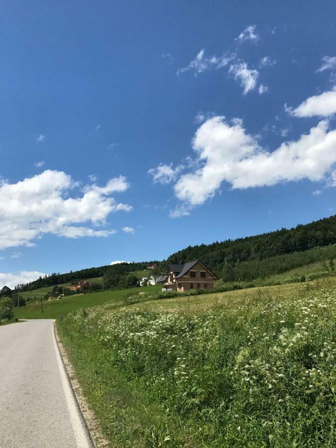 Malinowy Domek Mlynczyska Dış mekan fotoğraf