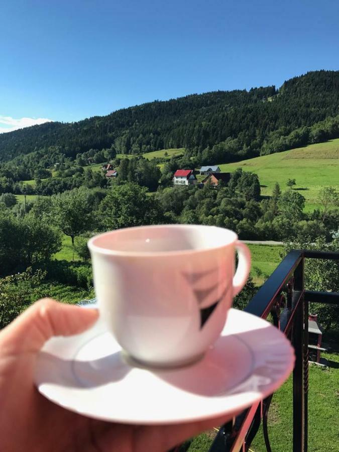 Malinowy Domek Mlynczyska Dış mekan fotoğraf