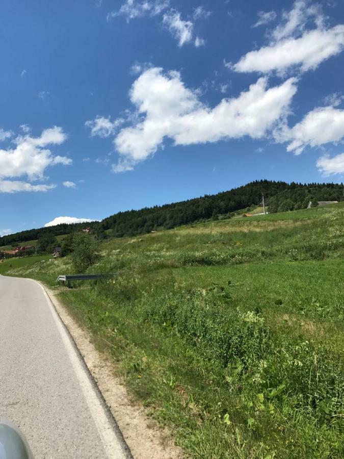 Malinowy Domek Mlynczyska Dış mekan fotoğraf