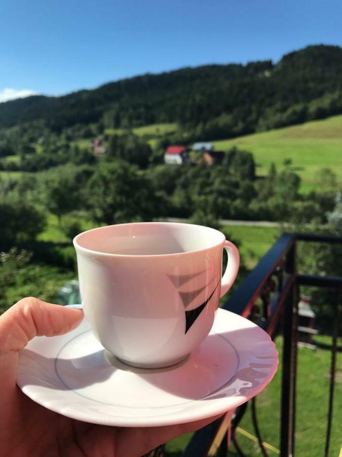 Malinowy Domek Mlynczyska Dış mekan fotoğraf