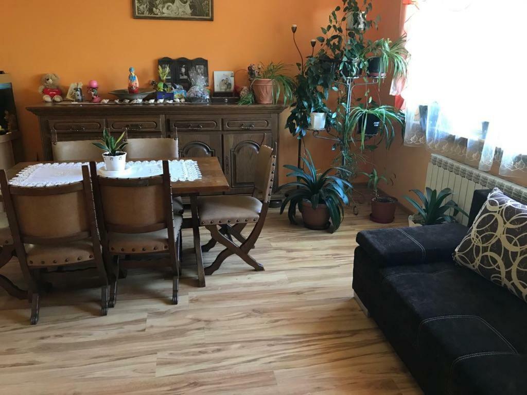 Malinowy Domek Mlynczyska Dış mekan fotoğraf