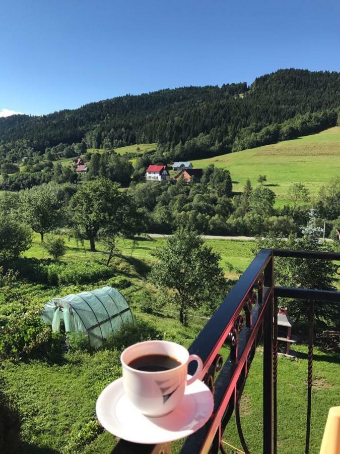 Malinowy Domek Mlynczyska Dış mekan fotoğraf