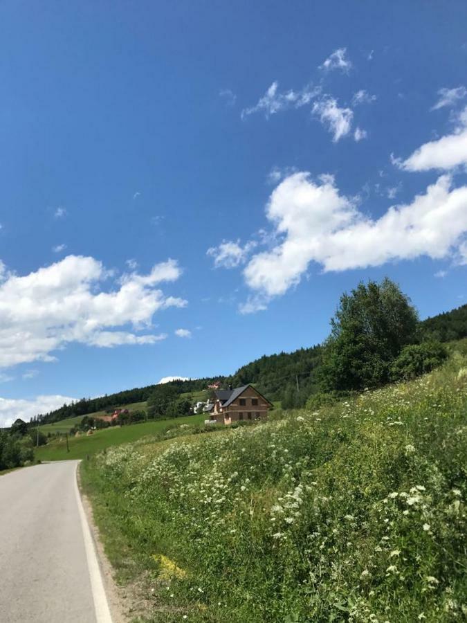 Malinowy Domek Mlynczyska Dış mekan fotoğraf