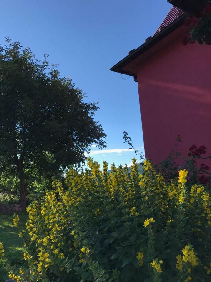 Malinowy Domek Mlynczyska Dış mekan fotoğraf