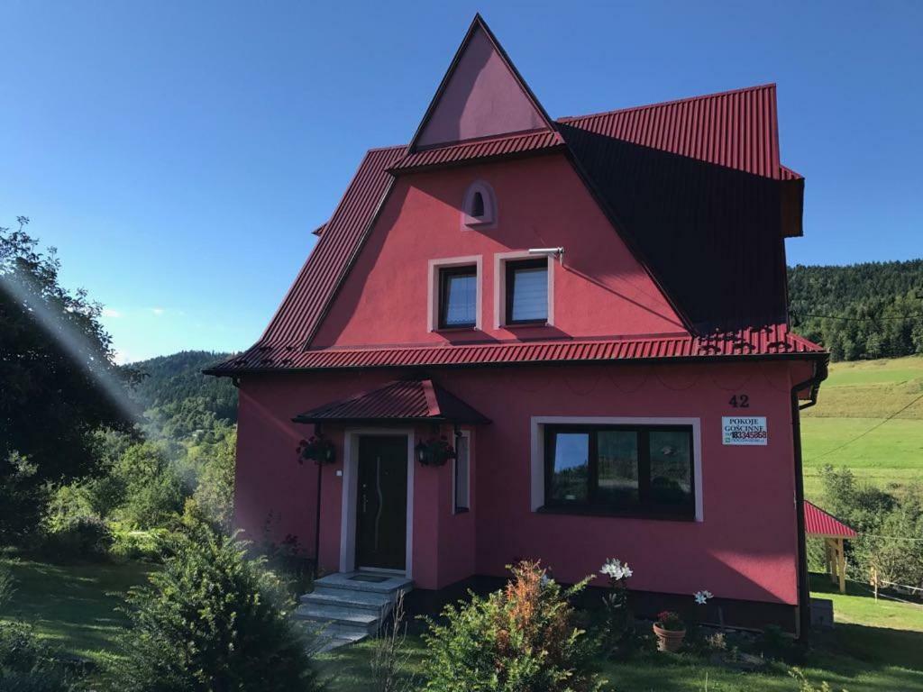 Malinowy Domek Mlynczyska Dış mekan fotoğraf