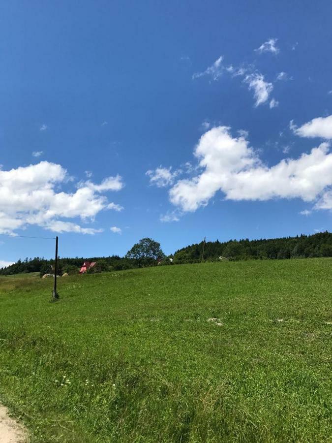 Malinowy Domek Mlynczyska Dış mekan fotoğraf