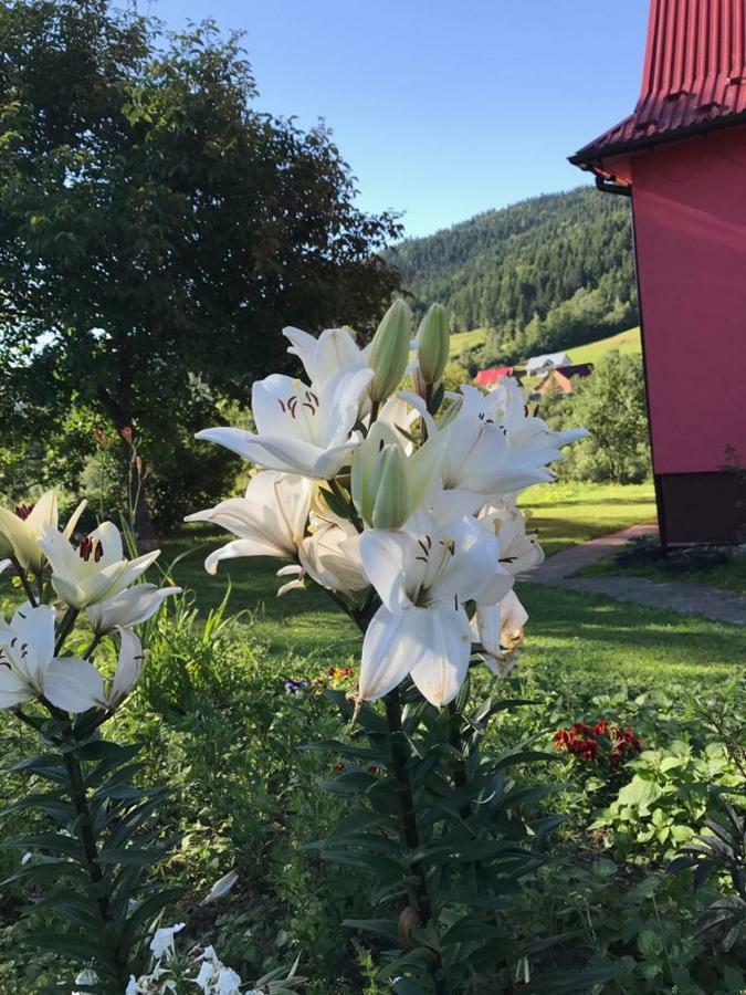 Malinowy Domek Mlynczyska Dış mekan fotoğraf