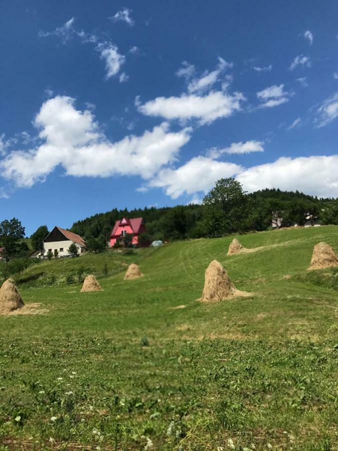Malinowy Domek Mlynczyska Dış mekan fotoğraf