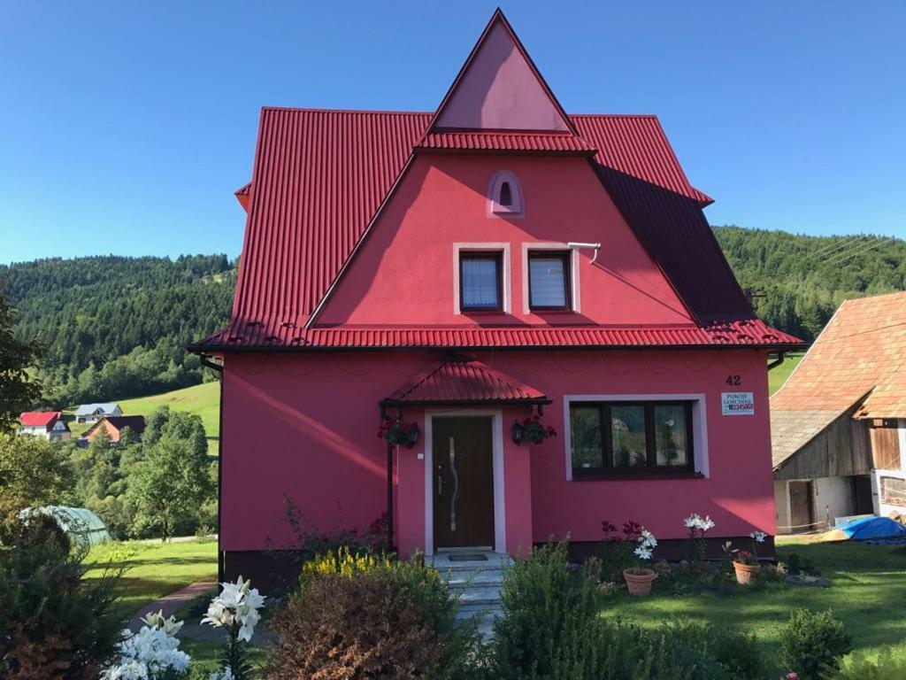 Malinowy Domek Mlynczyska Dış mekan fotoğraf