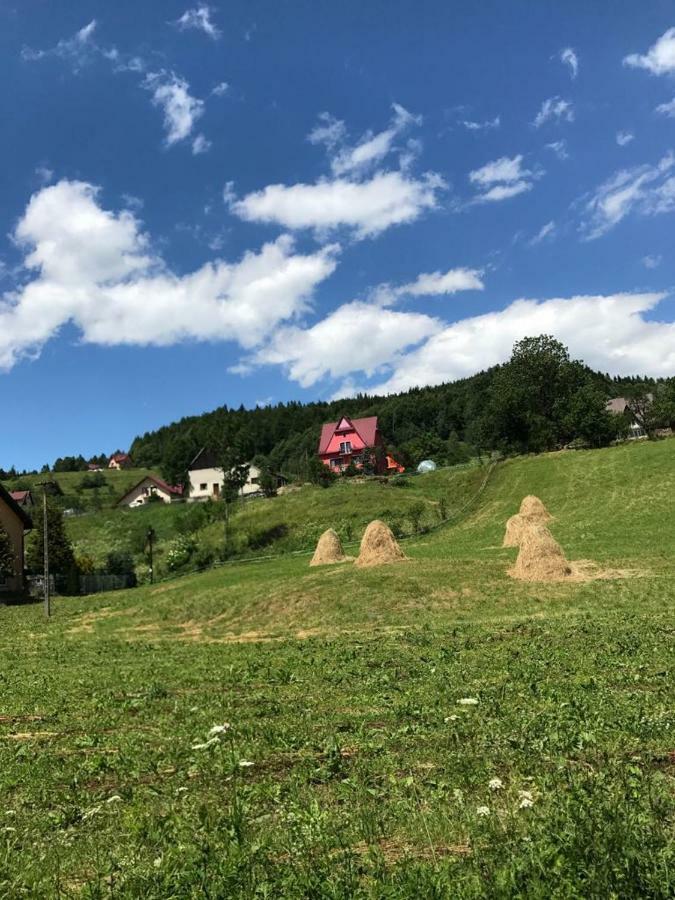 Malinowy Domek Mlynczyska Dış mekan fotoğraf